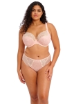 EL4490-PAU-Elomi-Lingerie-Lucie-Pale-Blush-Underwire-Plunge-Bra-Stretch-1.webp