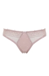 brazyliany-cleo-blossom4.webp