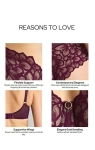 Detale i zbliżenia na koronkowy biustonosz Panache Allure Plum