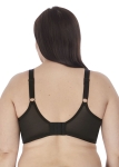 EL4301-BLK-back-Elomi-Lingerie-Smooth-Black-Underwired-Moulded-Bra.jpg