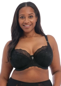 Biustonosz Elomi Brianna EL8081BLK Padded Half Cup Black