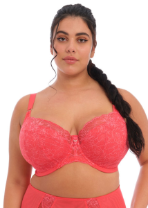 Biustonosz Elomi Brianna EL8081CYN Padded Half Cup Cayenne
