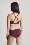 Panache_AW22F_Serene_FullCup_10305_Brief_10302_DarkCherry_RB_T_BK_16747.webp