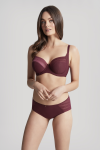 Panache_AW22F_Serene_FullCup_10305_Brief_10302_DarkCherry_T_FR_16379.webp