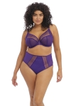 EL8900-IRS-alt1-Elomi-Lingerie-Matilda-Iris-Plunge-Bra.webp
