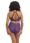 EL8900-IRS-alt2-Elomi-Lingerie-Matilda-Iris-Plunge-Bra.webp