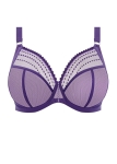 EL8900-IRS-cut-Elomi-Lingerie-Matilda-Iris-Plunge-Bra.webp