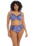 Elomi-Lingerie-Morgan-Denim-Floral-Bra.webp